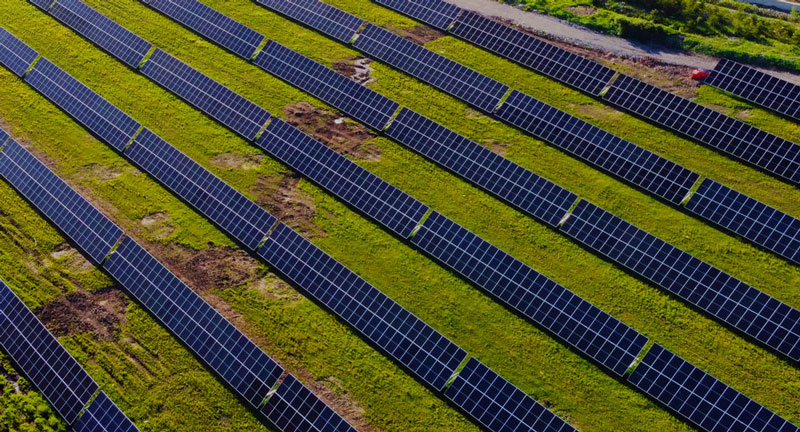 迈向低碳的未来